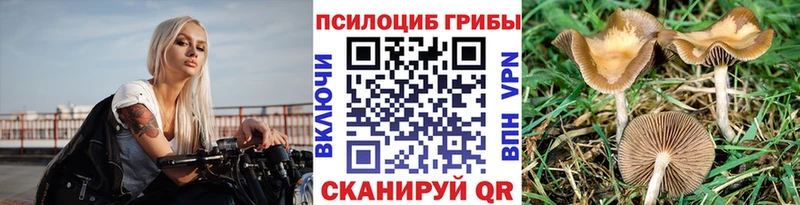 Купить закладки  Алдан  Псилоцибиновые грибы Magic Shrooms 